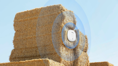 Hay monitoring Hay monitoring